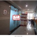 삼라마이다스 이미지