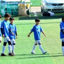 스타유소년축구교실 네이버블로그