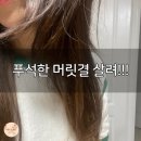 쏘헤어 모로코 아르간 오일 프리미엄 솔직 후기! 푸석한 머릿결 살려준 내돈내산