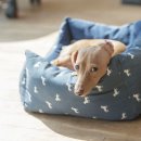 이루다 동물병원 이미지