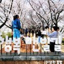 신천생태하천D | 서울에 이런 곳이?🌸 인생샷 2만 장 보장! 안양천 뚝방 벚꽃길 총정리: 주차·명당· 맨발 산책로 까지...