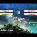 아픔이 사람을 키운다 이미지