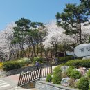 계양산산림욕장(장미원) 이미지