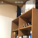 복실이 PC 이미지