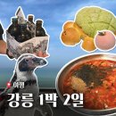 원영마트 | 소소한 강릉 1박2일 여행 | 원영장칼국수, 카페 곳, 경포아쿠아리움