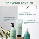포레스트스파 이미지