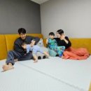 더필더디자인 이미지
