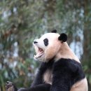 일품숯불갈비 이미지