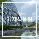 거제남서로 | 거제식물원 정글돔 정글타워 미끄럼틀 체험후기 가족여행 추천