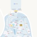 서울랜드 평일 사람 많을까? 이곳은 유딩들의 천국