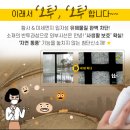 오투 이미지