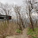 문향영양 이미지