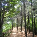 [서울] 동작구의 지붕을 거닐다. 동작충효길1코스~서달산~서달산자락길~동작충효길7코스 까치산길 ＜고구동산, 동작대, 효간공이정영묘역＞ 이미지