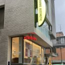 니블스(nibbles) | [두바이 리뷰] 강남 압구정/신사역 근처 두바이초콜릿 유명한 집 “니블스 nibbles” 후기