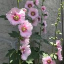 현대아파트 107동 놀이터 이미지