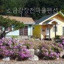 장천목장 | 소금강장천마을펜션 독채에서 머물며 느낀 자연 속 하루