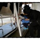 세연목장 이미지