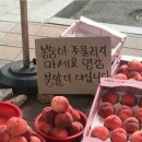 노닥거리 - 장흥군 | 노닥거리