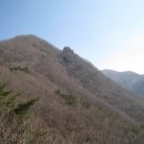 토지초교 이미지