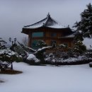 갈멜사슴농원 이미지