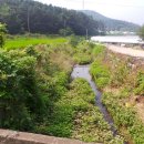 사기소리 이미지