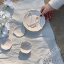 펄쉘(Pearl Shell)