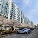 자인 행정사 이미지