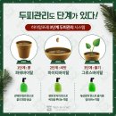 앙포레헤어 이미지