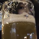 2019.05월 유민이 생일 ? 생월 ?