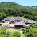 봉정사국화마을 이미지