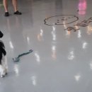 여기오개 이미지