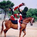 Equestrian Vaulting 이미지