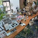 제주코아 관광호텔 | 제주 중문관광단지 호텔 그랜드조선 제주 조식 후기