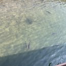 백운호수 주차장 이미지