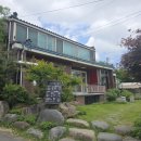 사리나무꽃이피는집 | 포항 남구 점심 맛집 유강 사리나무꽃이피는집