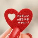 블루베리 효능 10가지 : 시니어 슈퍼푸드 이미지