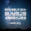 헤엄치는뜰 이미지