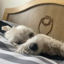 한봄고등학교앞 이미지