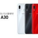 A30 이미지