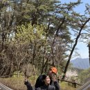 서울호텔 | 🌿 충북 제천 리솜포레스트 호텔 후기 | 30만원대로 마운틴뷰 온천까지, 임신 중에도 다녀왔어요