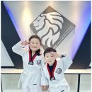 경희대태권도 이미지