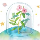 홀스마스터즈 승마클럽 이미지