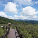 꽃가지화원 이미지