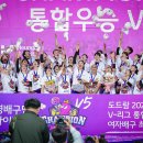 삼산 이미지