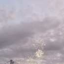 광안리요트투어