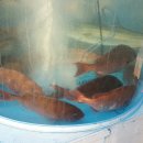 강변회수산센터 이미지