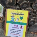 놀자멍 애견# | [함안/창원]마당에서 놀자멍 반려견놀이터 🐶