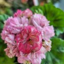 J(제이)농장 이미지