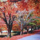 생태공원안내소 이미지