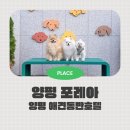 신상 호텔 양평애견동반숙소 포레아